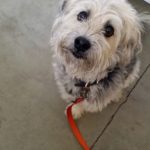 Einstein